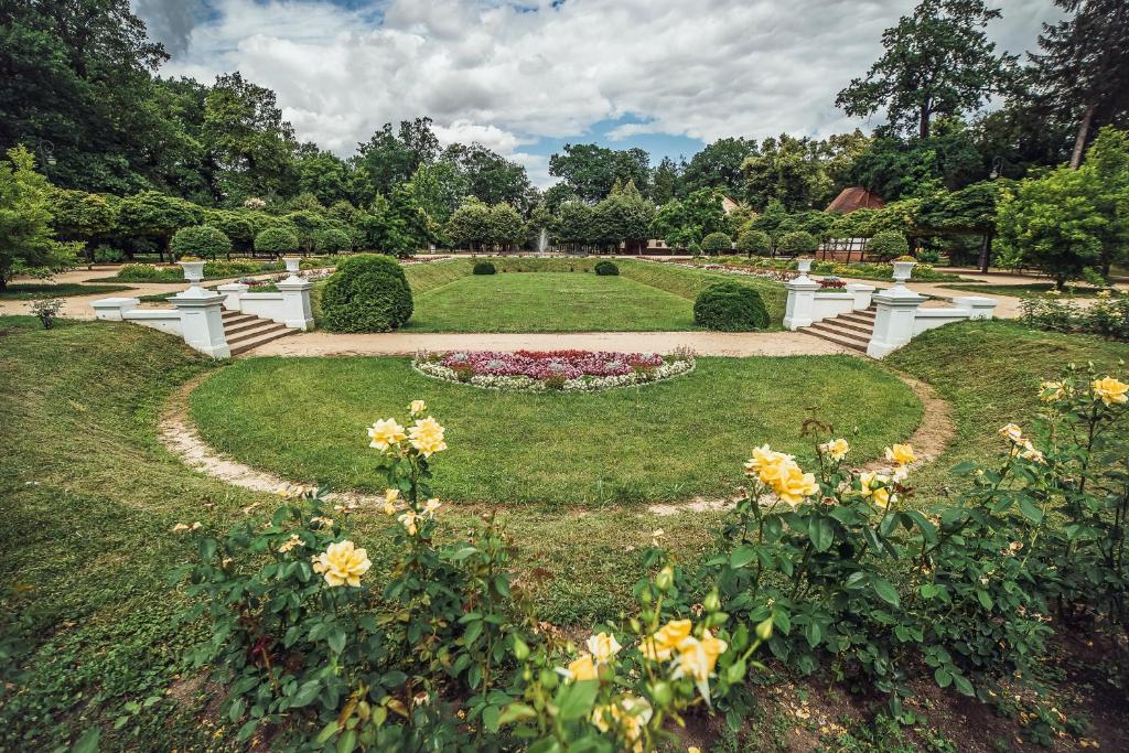 Skodova Apartments room 1
