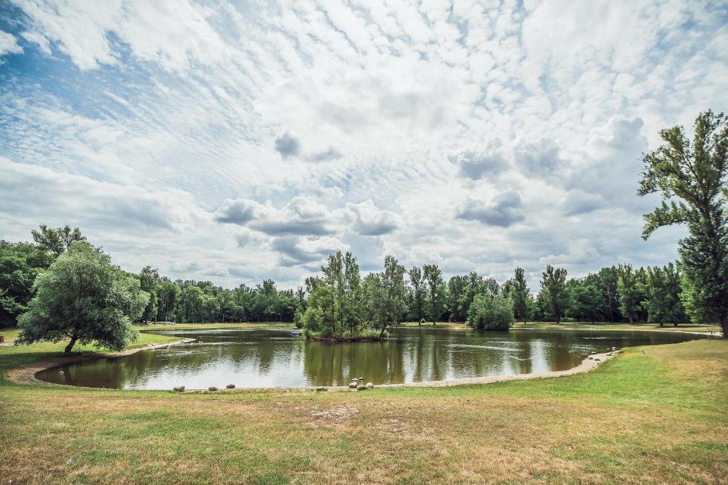 Skodova Apartments room 3