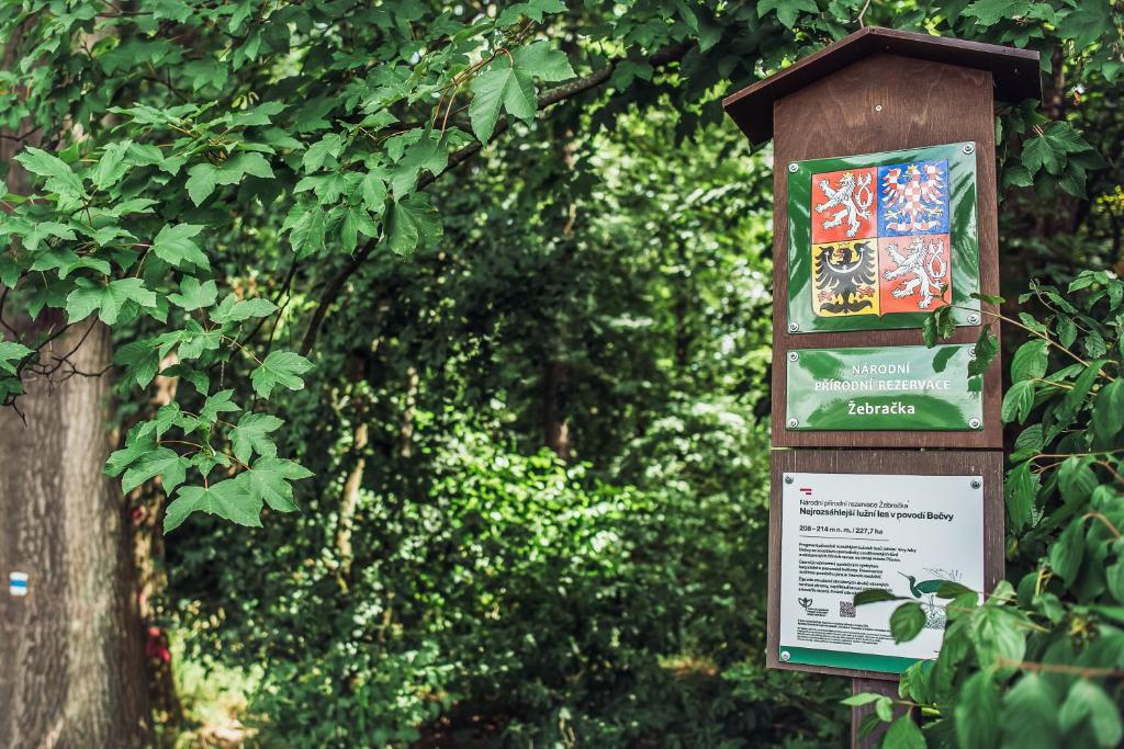 Skodova Apartments room 4